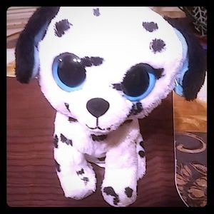A puppy